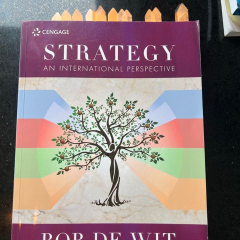 Strategy an international perspective