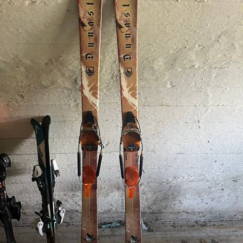 Telemark ski