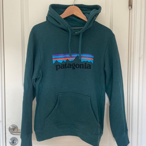 Patagonia hettegenser