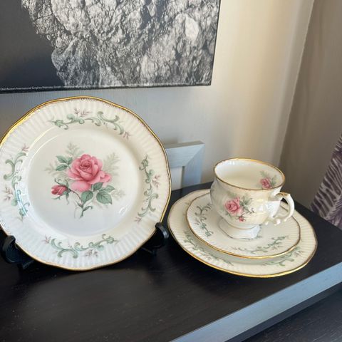 Elizabethan engelske , triosett,porselen, fine bone china