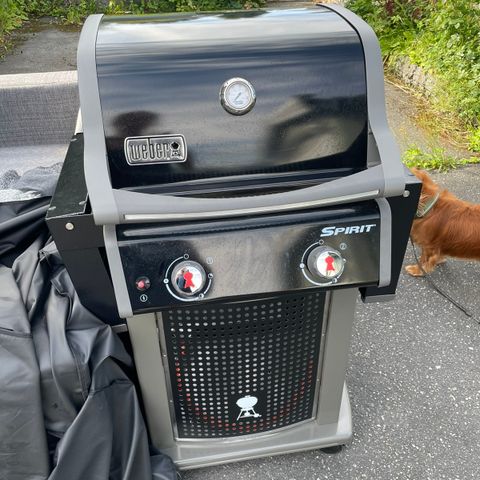 Weber grill selges.