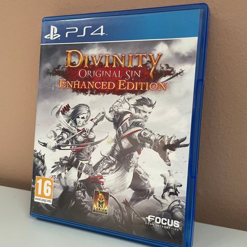 Divinity: Original Sin - Enhanced Edition PlayStation 4