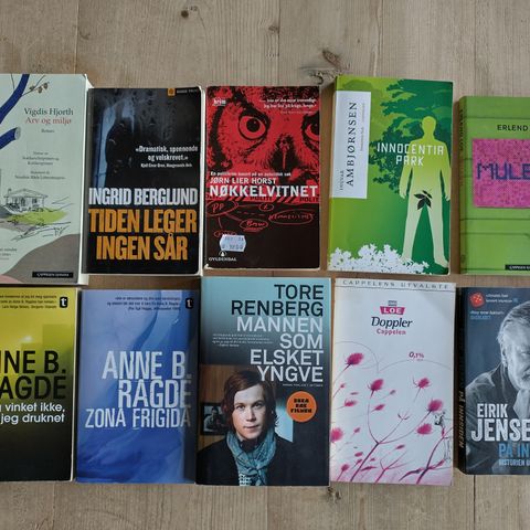 Bokpakke med 10 pocketbøker / Norske forfattere