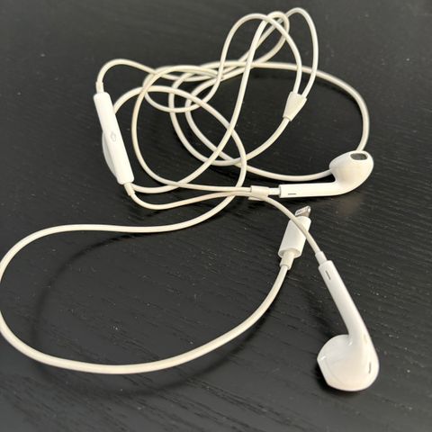 Apple EarPods (Lightning)