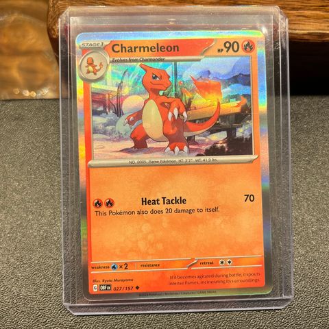 Charmeleon [Holo] #27 Pokemon Obsidian Flames