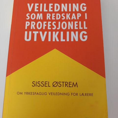 Veiledning som redskap i profesjonell utvikling