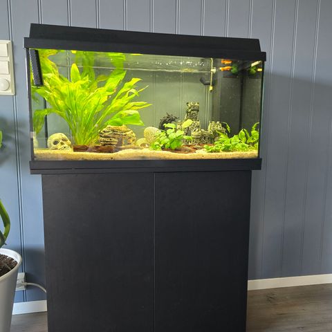 Juwel Akvarie. ca 110 L