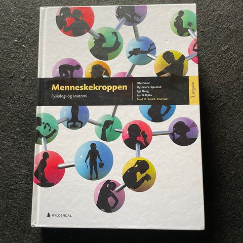 Menneskekroppen