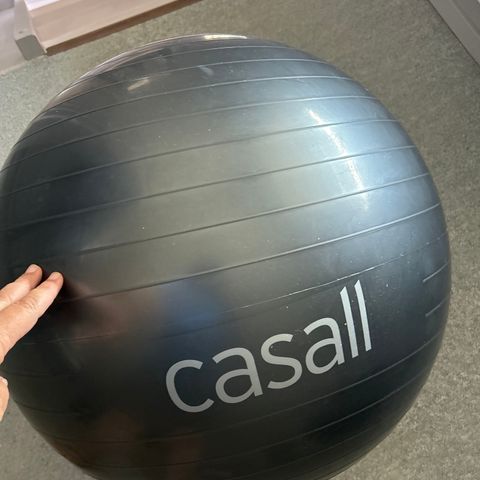 Casall Sport Gym Ball