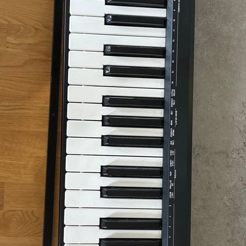 Roland Midi keyboard -A49