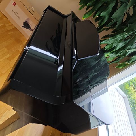 Elektrisk piano/elektropiano