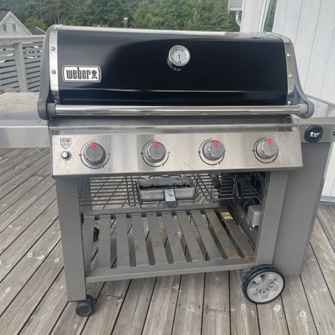 Weber GS4