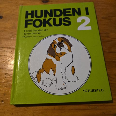 Hunden i fokus