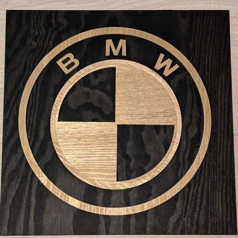 BMW logo