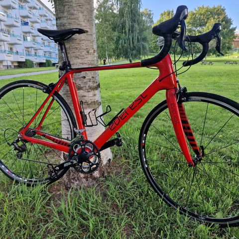 Pent og lite brukt Everest landeveissykkel i fullt karbon/ road bike, str 56"