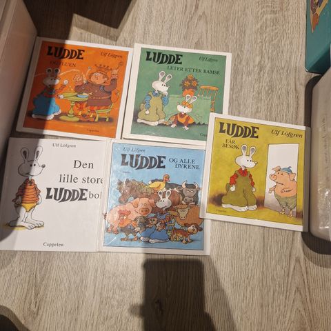 5 Ludde bøker