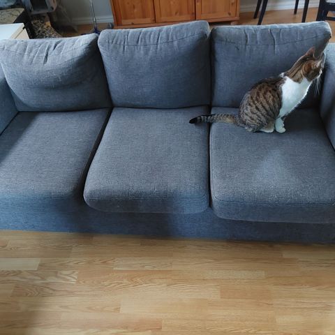 Tre-seters sofa