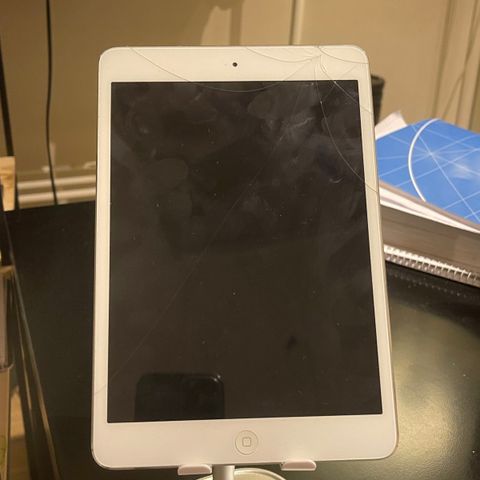 iPad mini 2