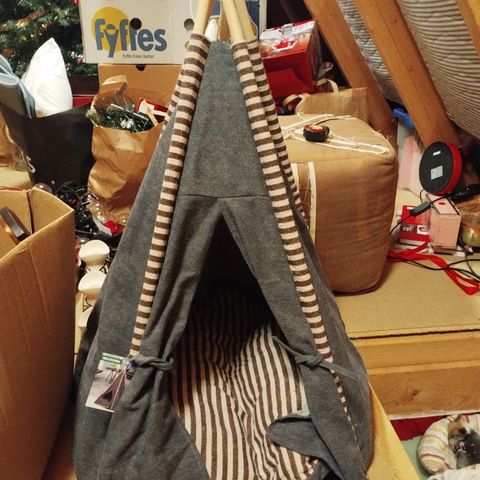 Tipi