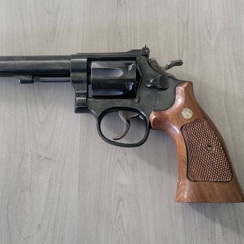 smith and wesson 22 long rifle ctg