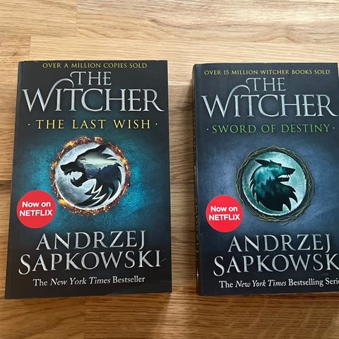 The Witcher - Andrzej Sapkowski