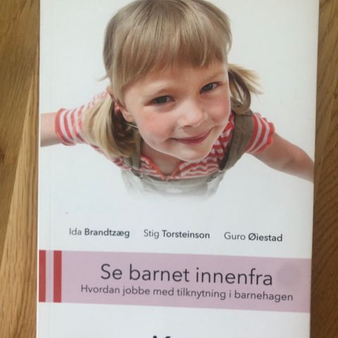 Se barnet innefra. Ida Brandtzæg. Stig Torsteinson.