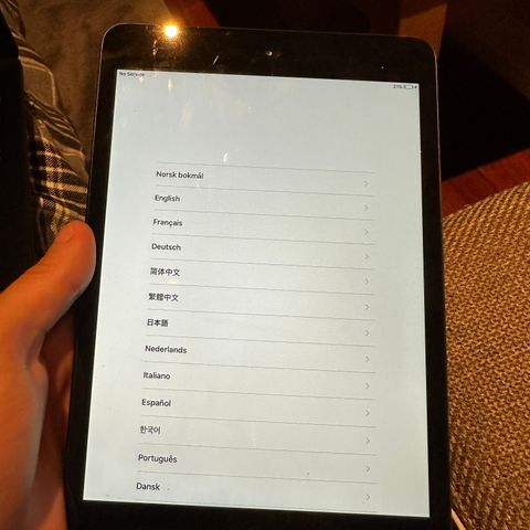 iPad Mini Selges