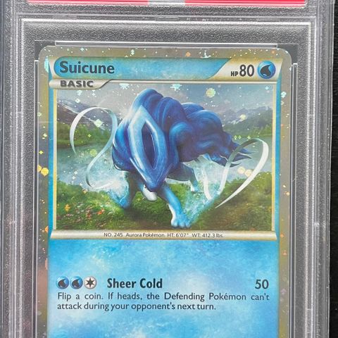 Suicune Promo holo