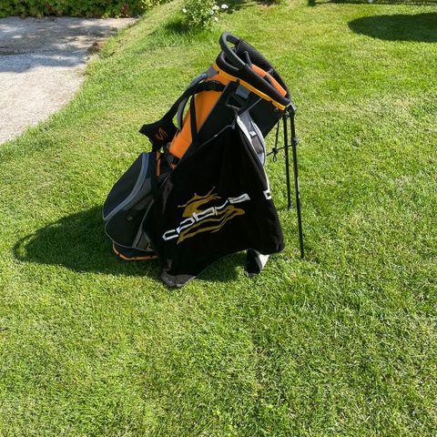 Cobra golfbag