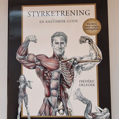 Bok Styrketrening En anatomisk guide