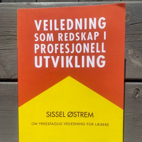 Veiledning som redskap i profesjonell utvikling