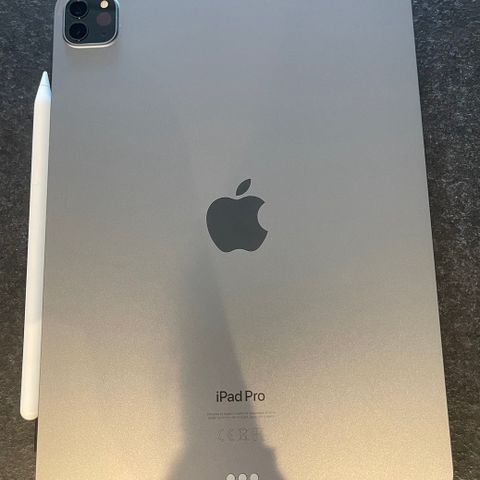 iPad Pro 11’ Wifi 4th Generation med Apple Pencil