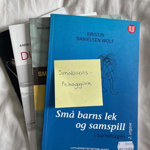 Småbarnspedagogikk, ingen merker, halv pris