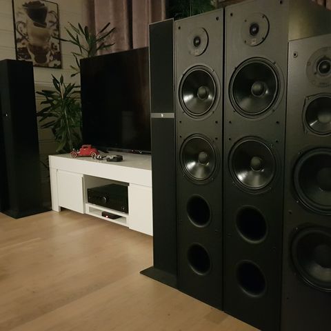 Dali AXS 8000