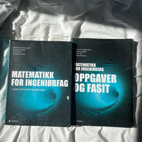 Matematikk for ingeniører