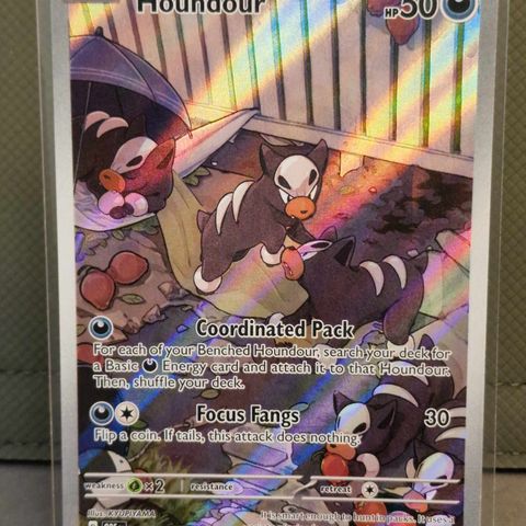 Houndour #204 - Pokemon Obsidian Flames