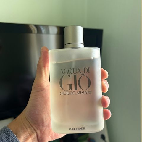 Giorgio Armani Acqua di Giò pour Homme Eau de Toilette 100 ml