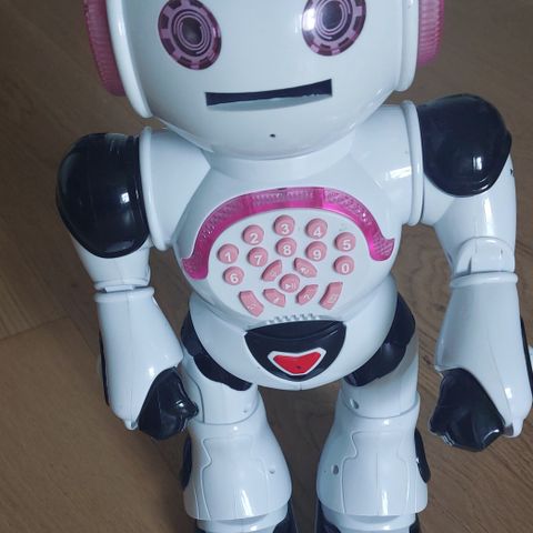 interaktiv robot