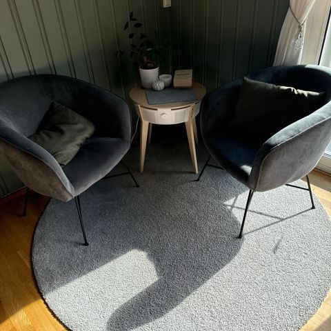 To stoler, ett bord med luftrenser og teppe