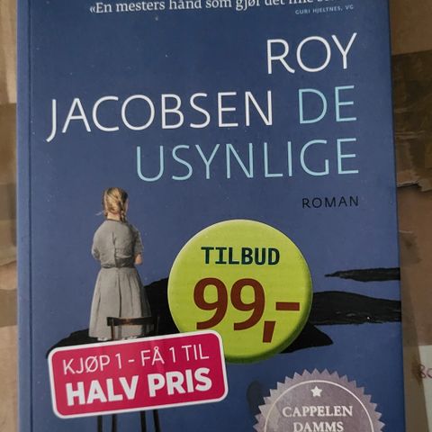Roy Jacobsen - De Usynlige