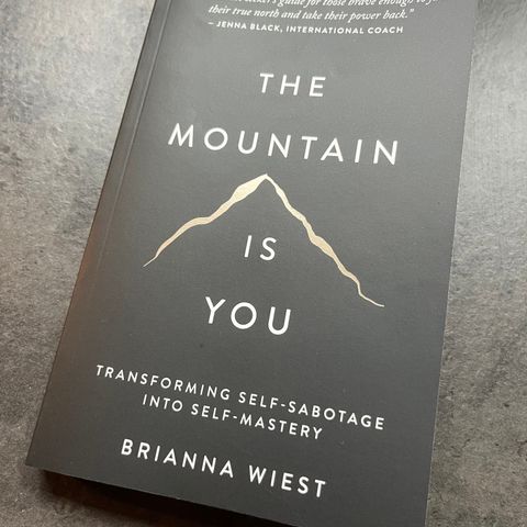 The Mountain Is You | Brianna Wiest