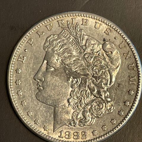 USA Morgen Dollar 1882 S