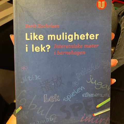 Like muligheter i lek? Interetniske møter i barnehagen