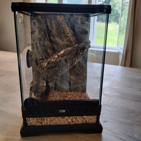 Bur Exo Terra Terrarium 20*20*35 med hygrometer og dekorkvist