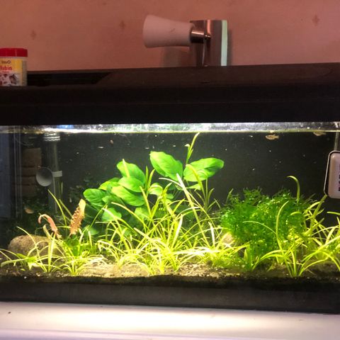 Akvarium 60/70 liter