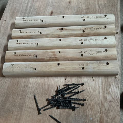 Metolius Campus Rungs L