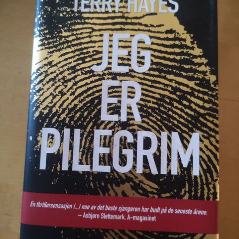 Jeg er pilegrim, Terry Hayes, innbundet