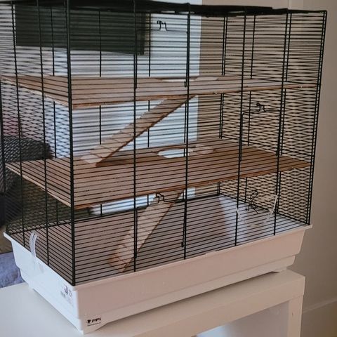 Stort hamsterbur med 3 etasjer og masse utstyr