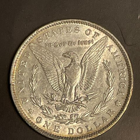 USA Morgen Dollar 1881