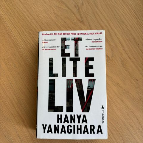 Et lite liv av Hanya Yanagihara